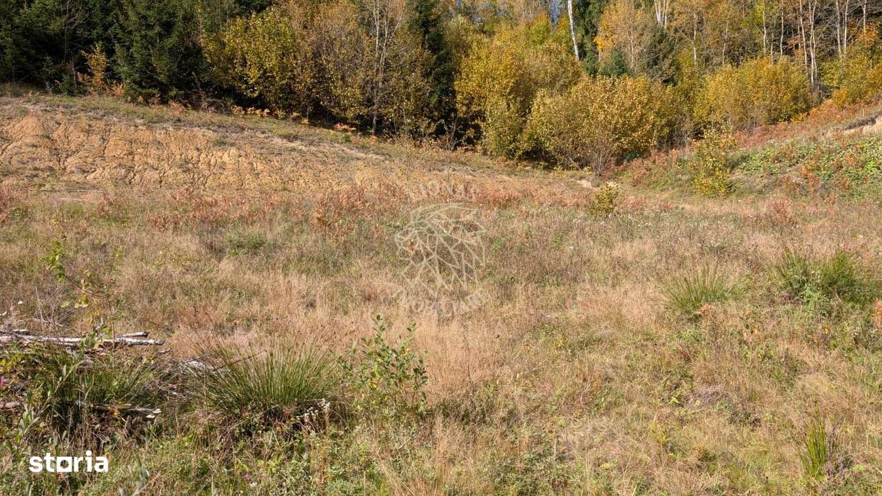 Parcele 800-1000 mp intravilan-350m distanta fata de Lac Colibita - Imagine principală: 2/3