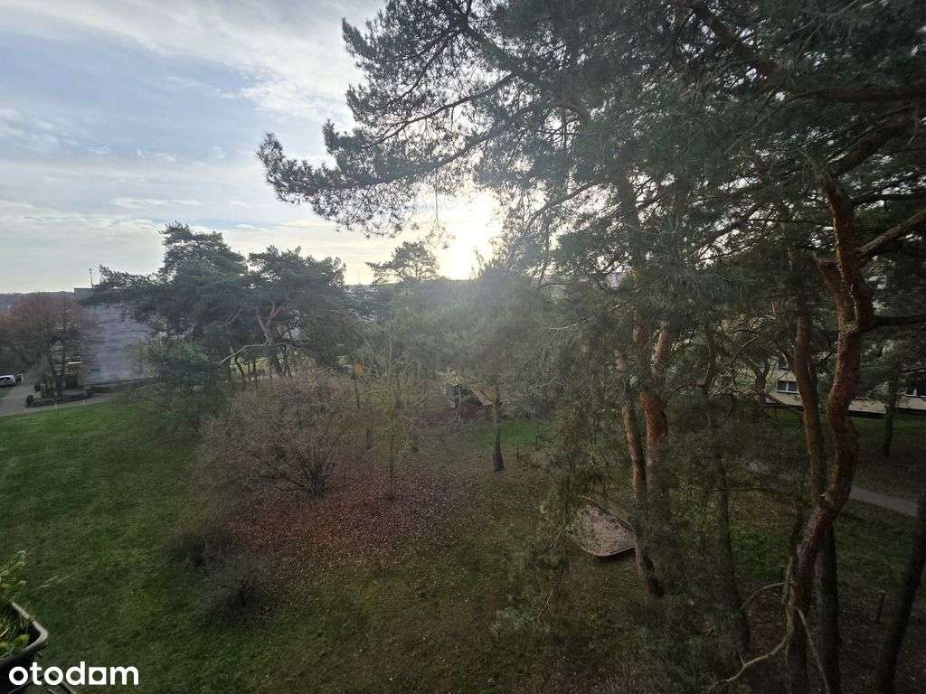 Mieszkanie z widokiem na park-10