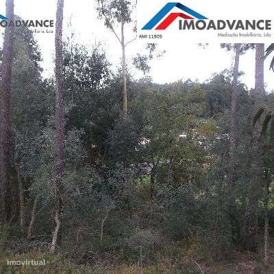 Terreno para Construção em Coimbra-7