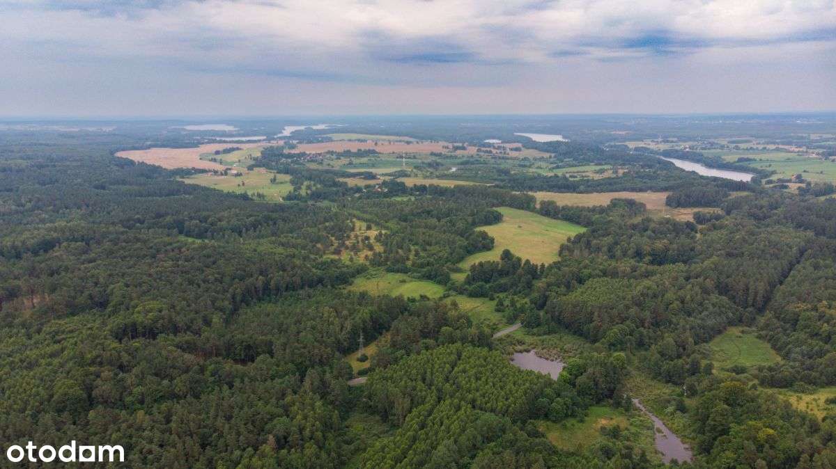 Malownicza działka na Mazurach - Pełny obrazek: 4/6