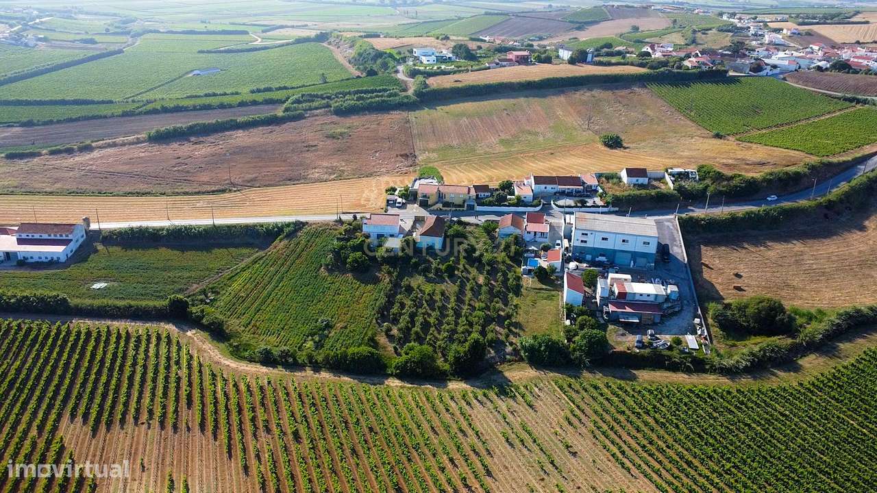 Pequena Quinta em Bonabal – Ventosa, Torres Vedras - Grande imagem: 4/10
