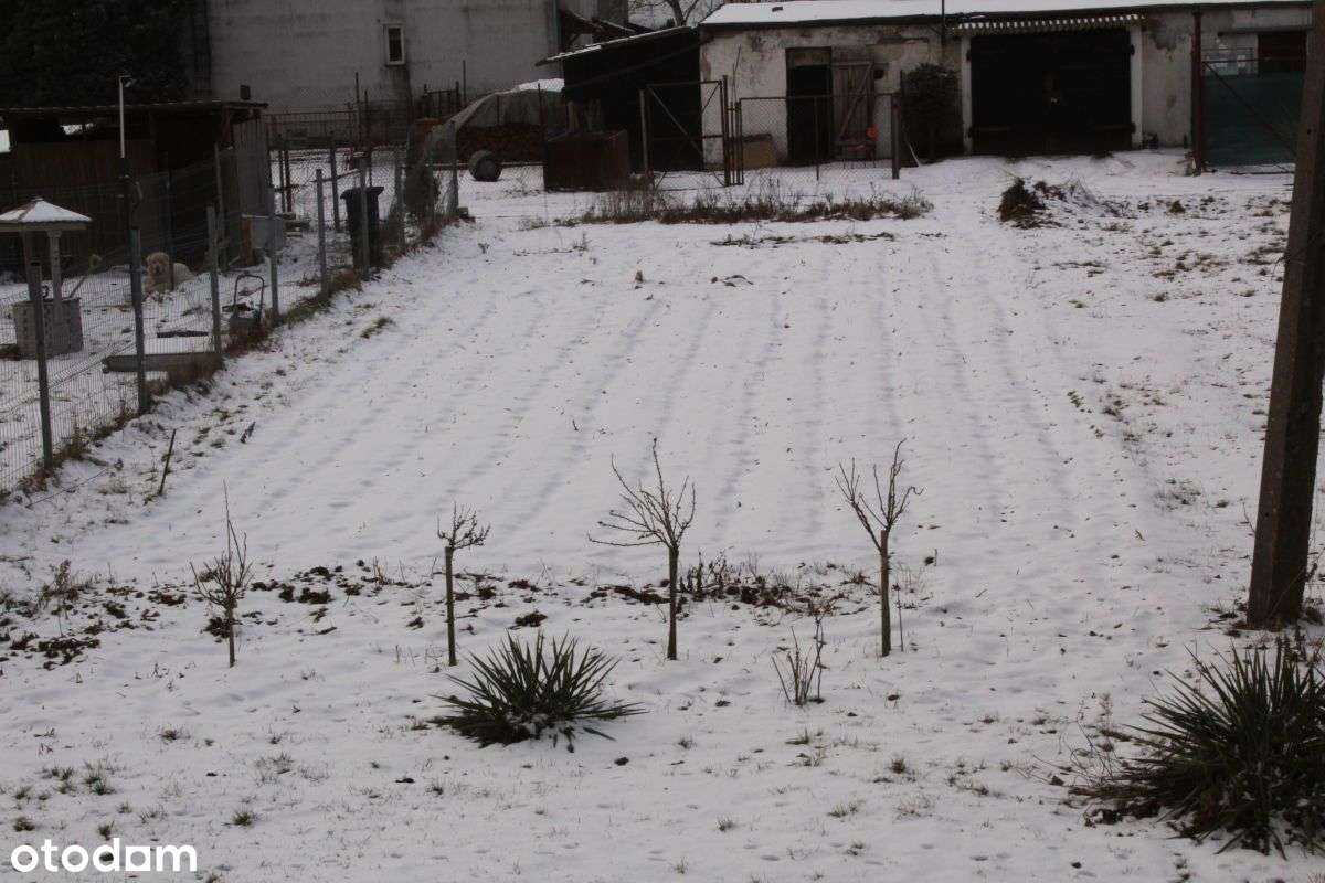 Mieszkanie Na Parterze-9