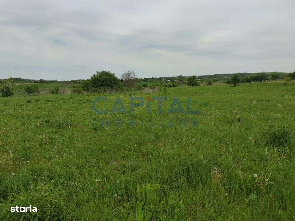 Comision 0%! Oportunitate, teren intravilan, 800 mp Masterplan, Sopor - Imagine principală: 4/5