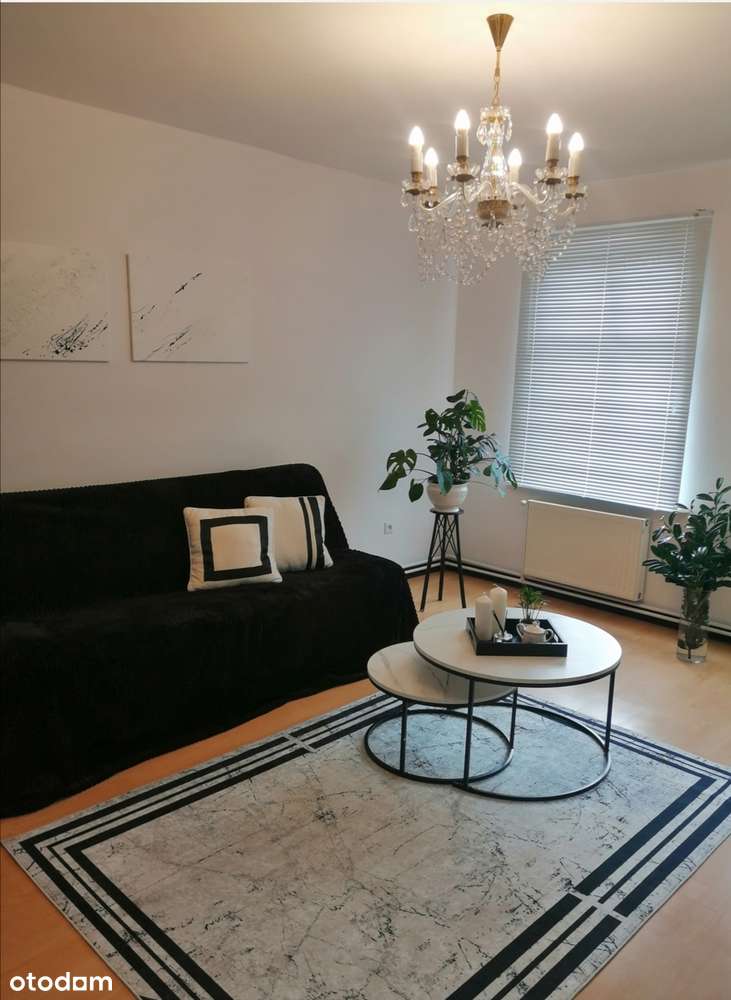 BEZCZYNSZOWE MIESZKANIE 2 POK. DO NEGOCJACJI . SPRZEDAM LUB ZAMIENIĘ. - Pełny obrazek: 4/12