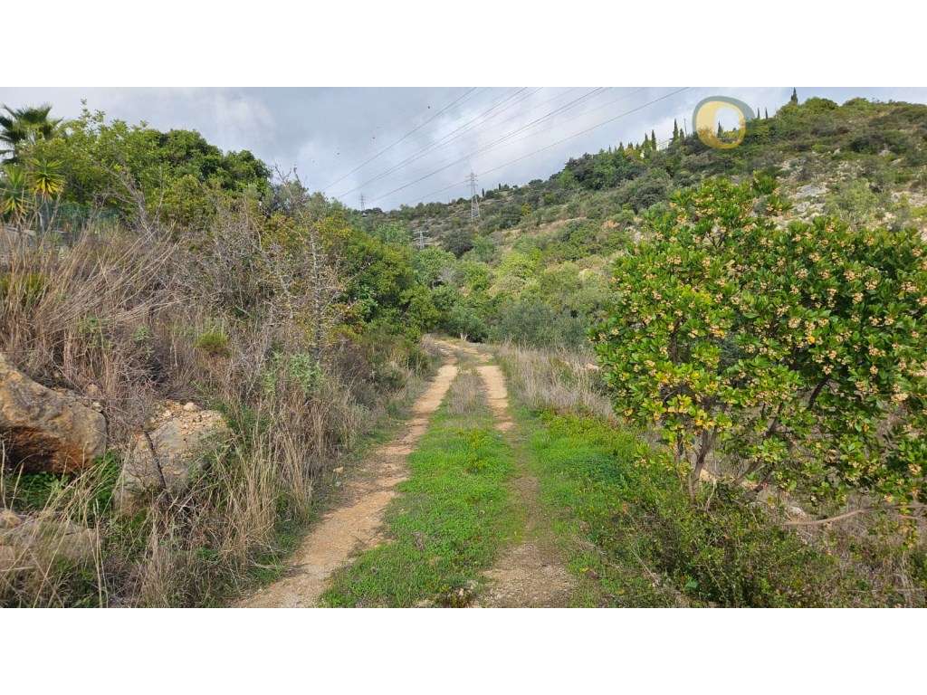 Terreno Rústico em Estoi com Poço-9