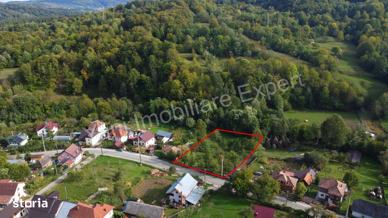 Teren de vânzare în comuna Arefu, județ Argeș.-3