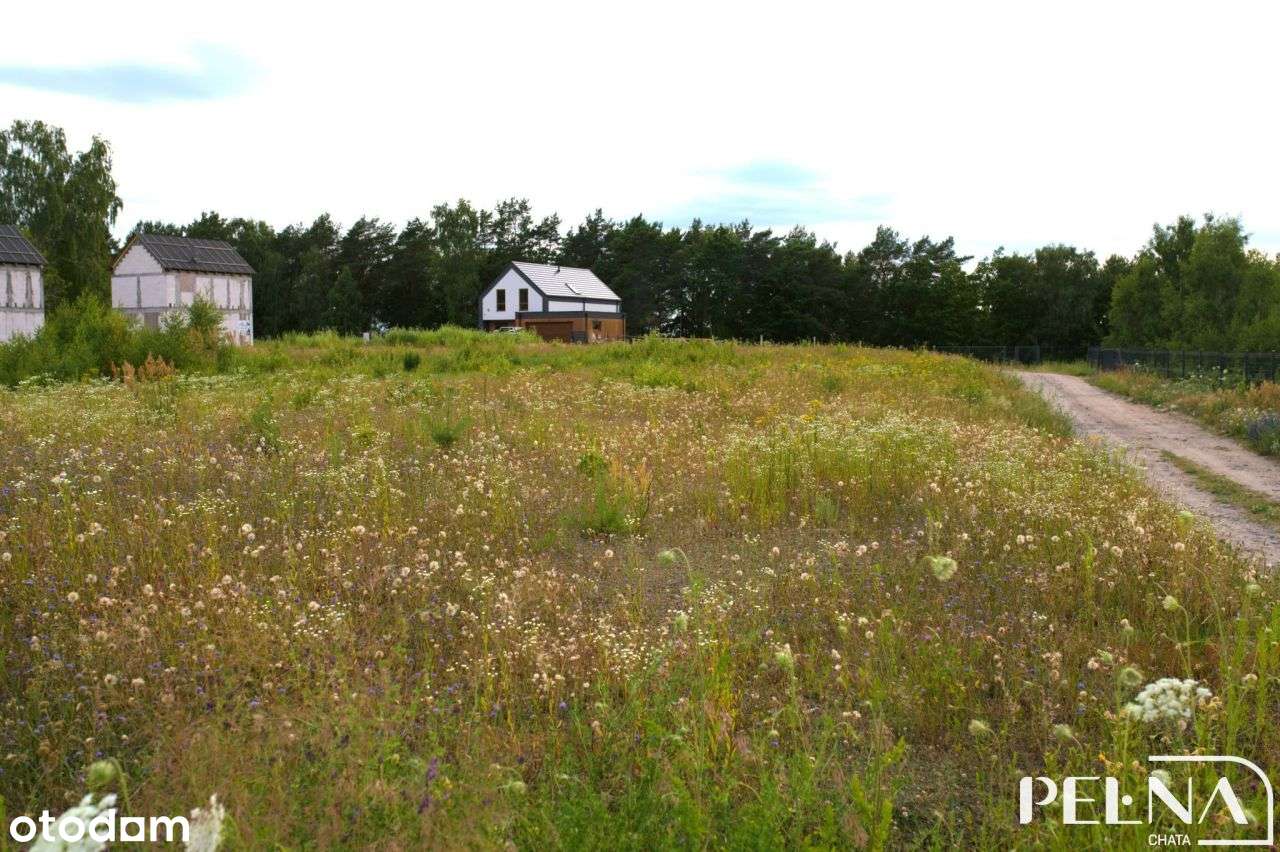 Działka rekreacyjna nad jeziorem koło Kościerzyny-9