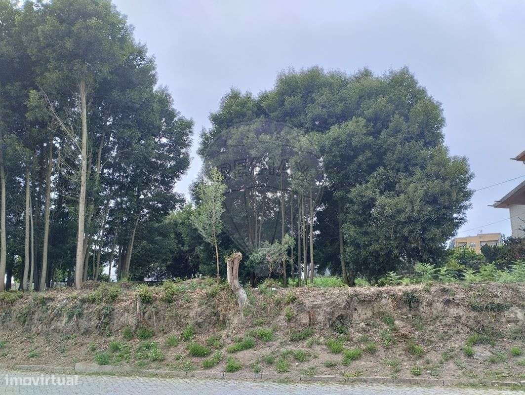 Terreno  para venda - Grande imagem: 4/5