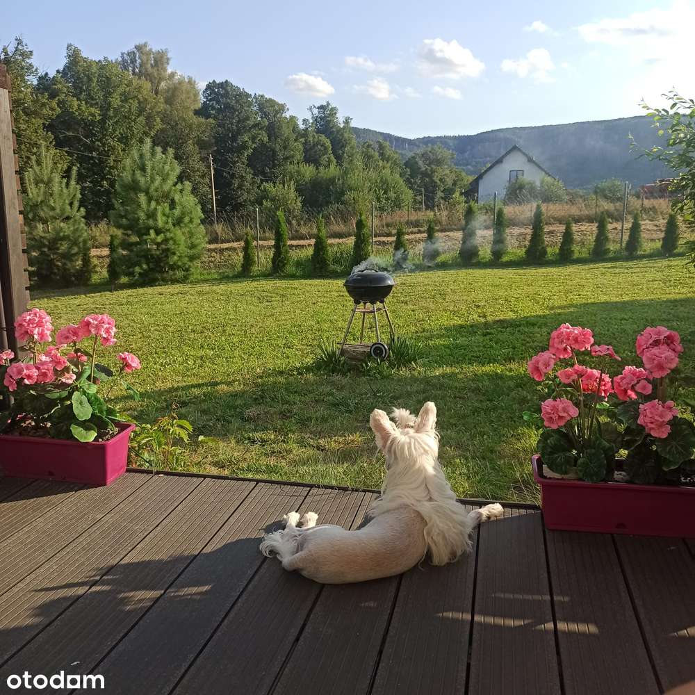 Urokliwy,  ekonomiczny dom z widokiem na szczyt Gór Stołowych - Pełny obrazek: 4/13
