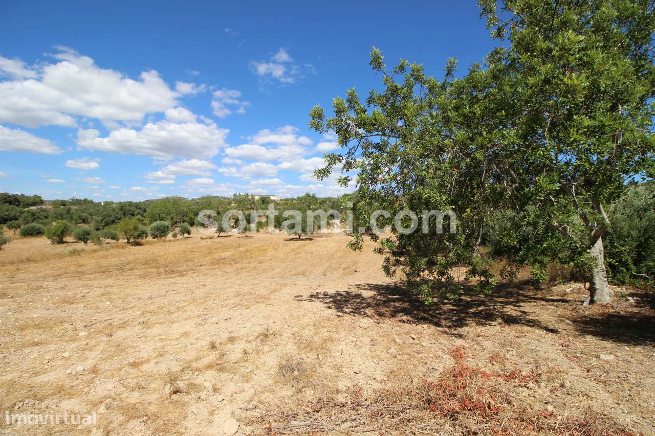 Terreno Rústico  Venda em Santa Bárbara de Nexe,Faro - Grande imagem: 3/6