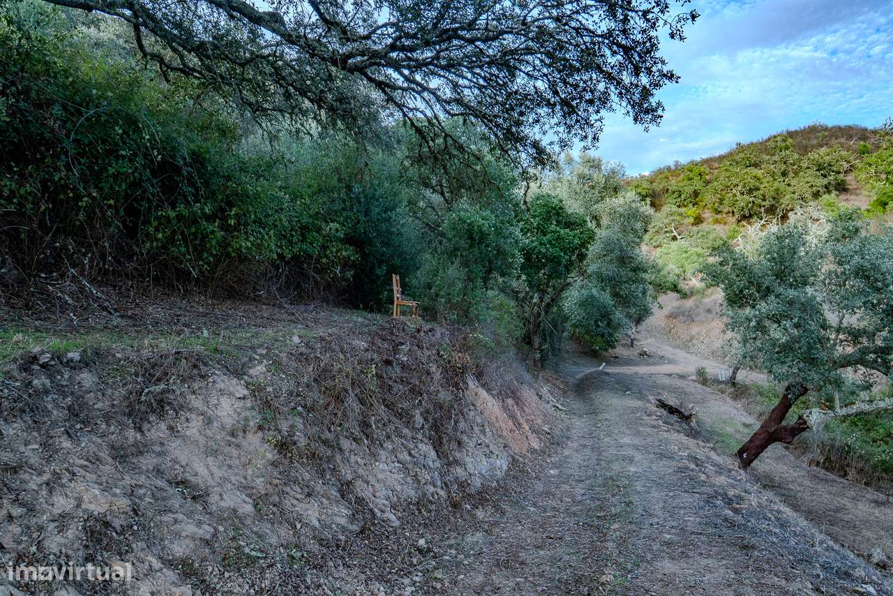 QUINTA | PARA VENDA | ALENTEJO | ODEMIRA-28