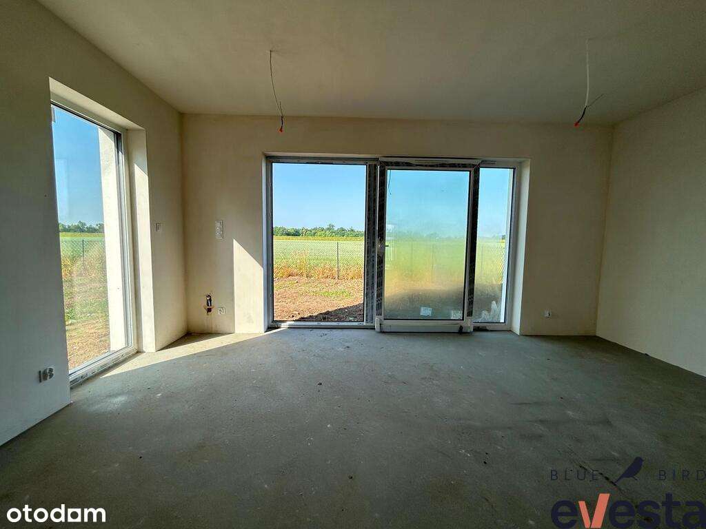 Psary | szereg | 3 km do Marino | cisza i spokój - Pełny obrazek: 5/12