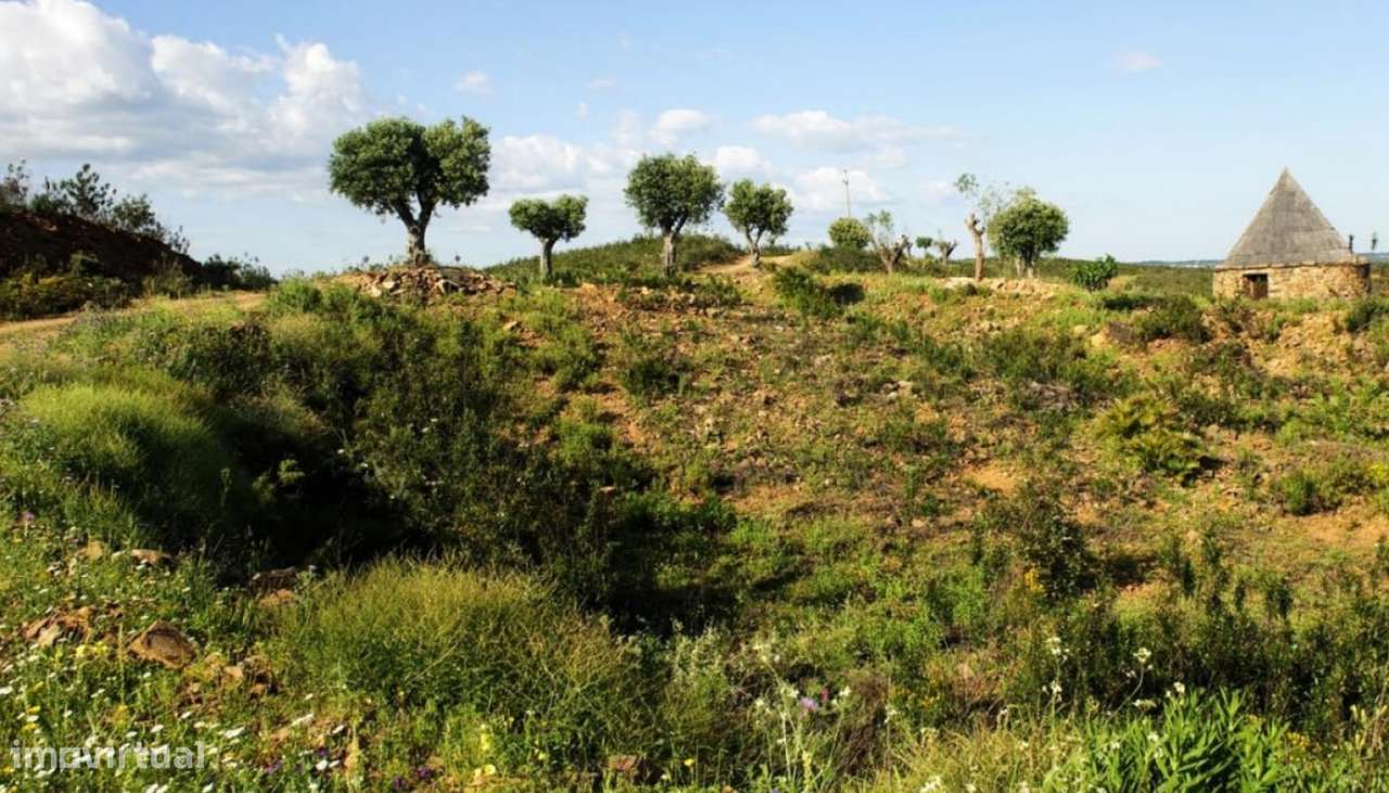 Amplo terreno, com projeto aprovado, para venda em Tavira, Algarve-2
