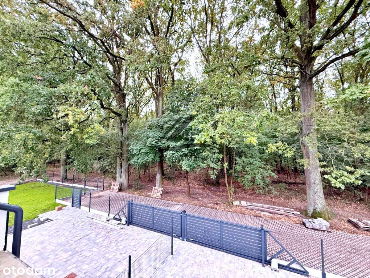 Zamieszkaj na skraju lasu, dom Twoich marzeń czeka-6