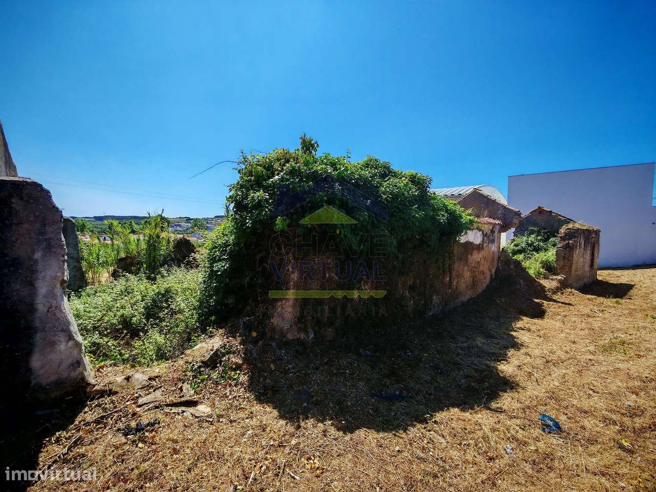 Terreno para Construção Delgada - Bombarral-11