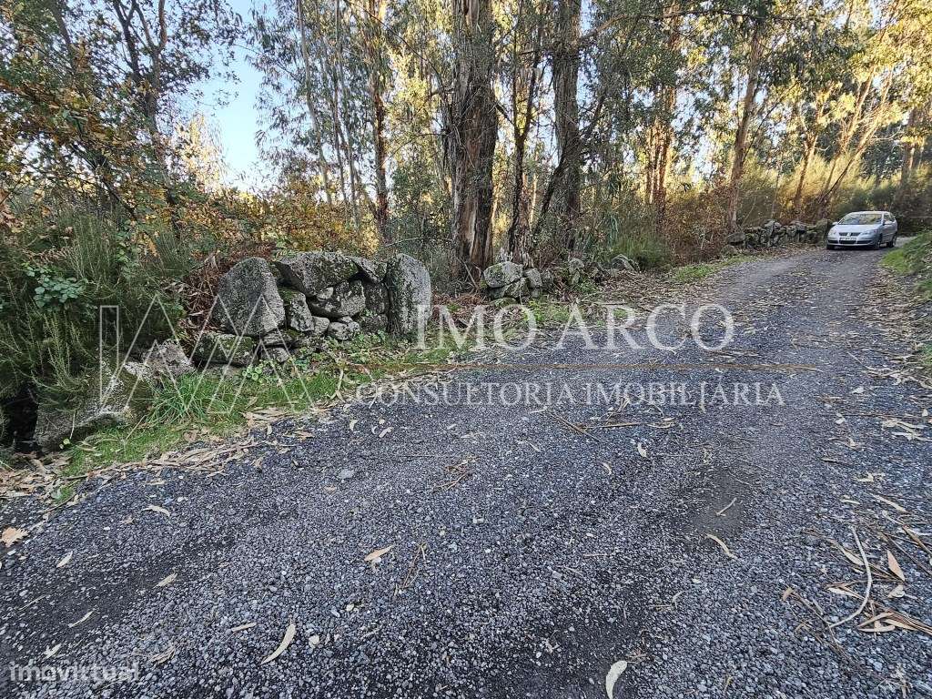 Terreno Rústico com 45.900 m² - Pedraça, Cabeceiras de Basto-20