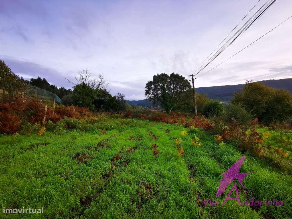 Terreno para construção de uma ou duas moradias térreas.-6