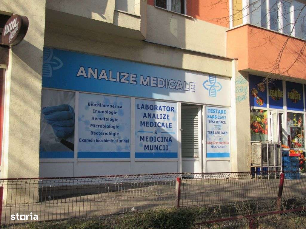 Inchiriere Spatiu Comercial Teiul Doamnei Stradal - Imagine principală: 5/20