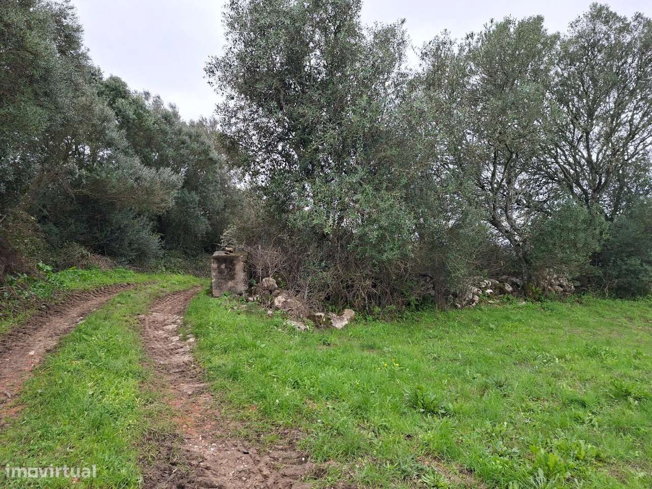 Terreno rústico com 49.280 m2 – Potencial agrícola e possibilidade con - Grande imagem: 4/13