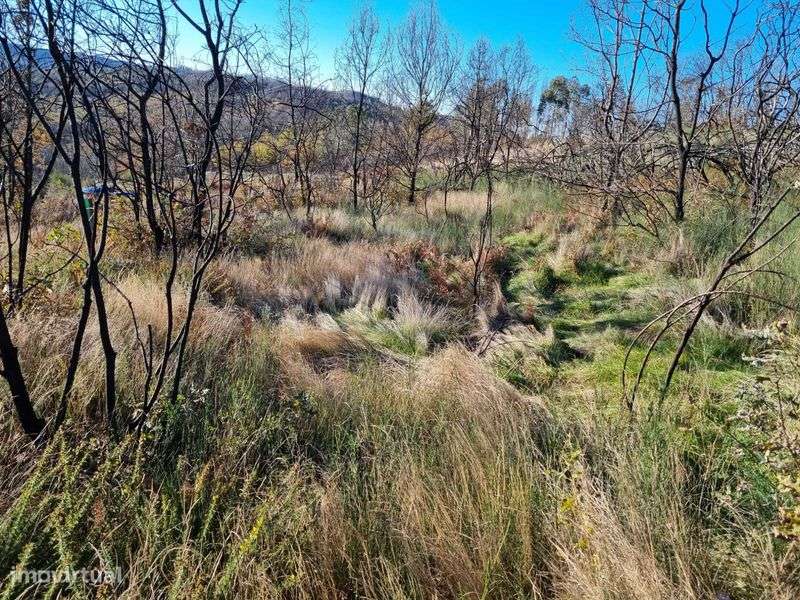Terreno para fazer retiro de férias - Grande imagem: 4/4