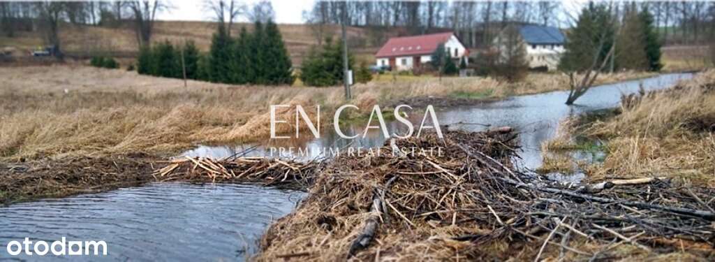 27 tys m2 pięknej działki ze stawem - Pełny obrazek: 5/8