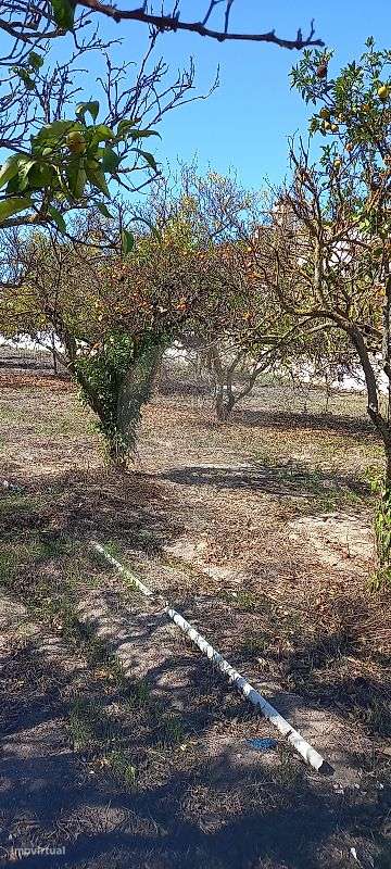 Terreno  para venda - Grande imagem: 5/16