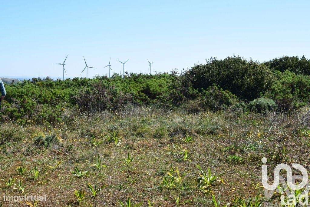 Terreno Agrícola em Carnota - Grande imagem: 4/36