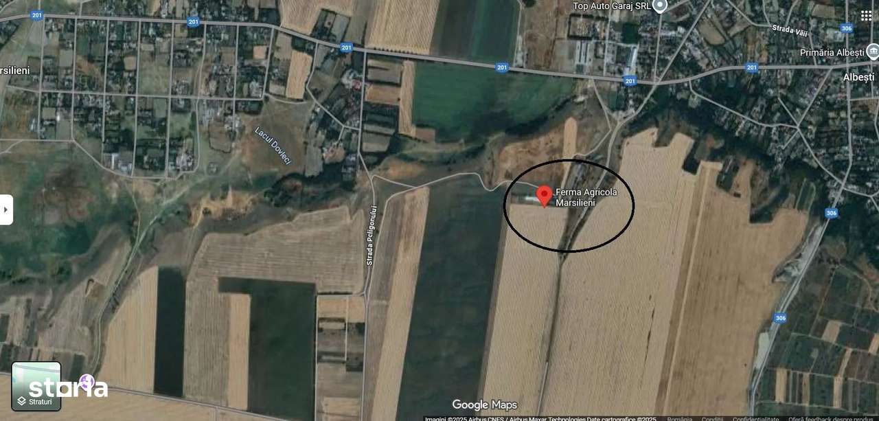 Ferma de gaini ouatoare in sistem free-range | 45.000 mp teren-6