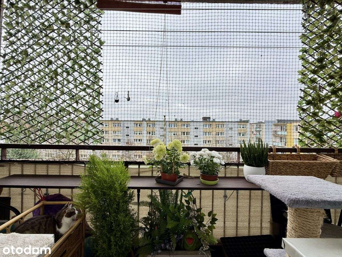 3-pokojowe mieszkanie z loggią blisko jeziora-2