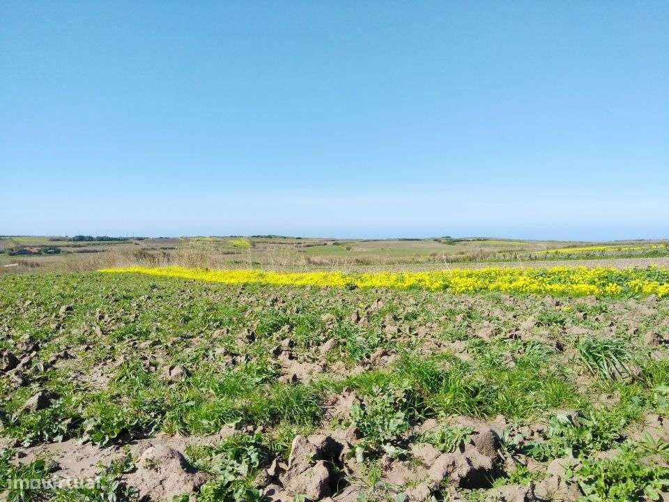 Terreno com grande dimensão e enorme potencial junto ao mar - Grande imagem: 4/17