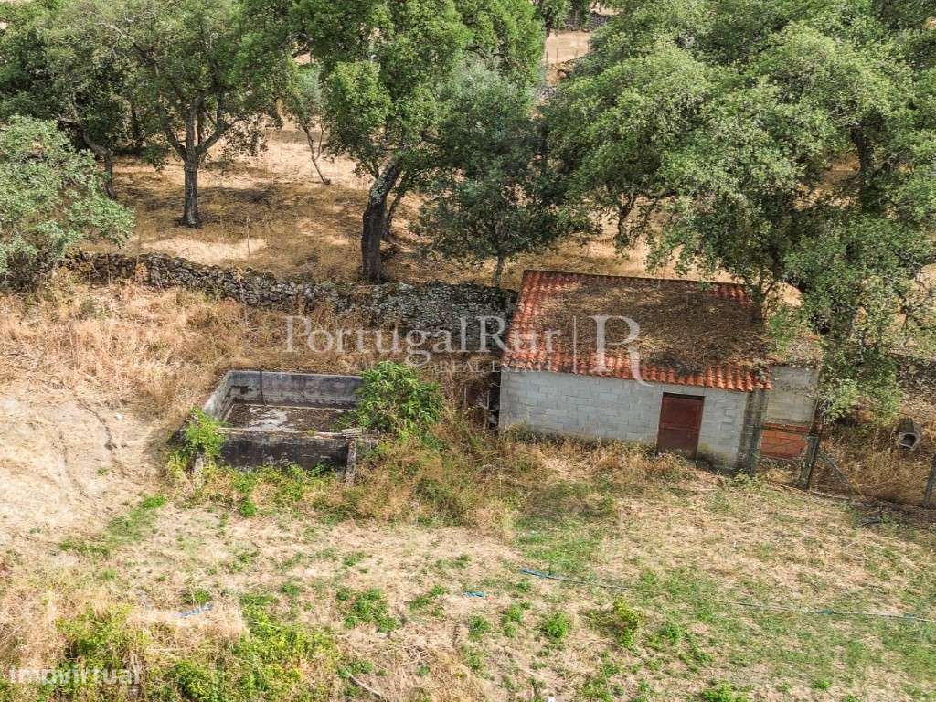Quintinha de 1.8 hectares em Medelim-28
