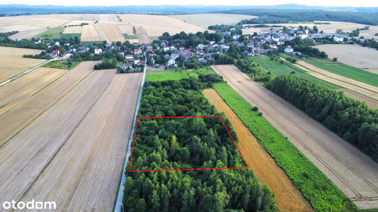 OPCJA CAŁOŚCI 3828 m² !! Widokowa! Objęta MPZP! BUDOWLANA !! - Pełny obrazek: 4/8