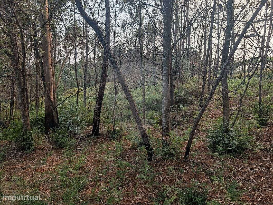 Terreno  para venda - Grande imagem: 4/5