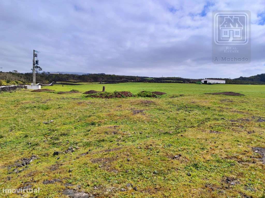 TERRENO com Vista Mar - Criação Velha, Madalena, Ilha do Pico, Açores - Grande imagem: 4/14