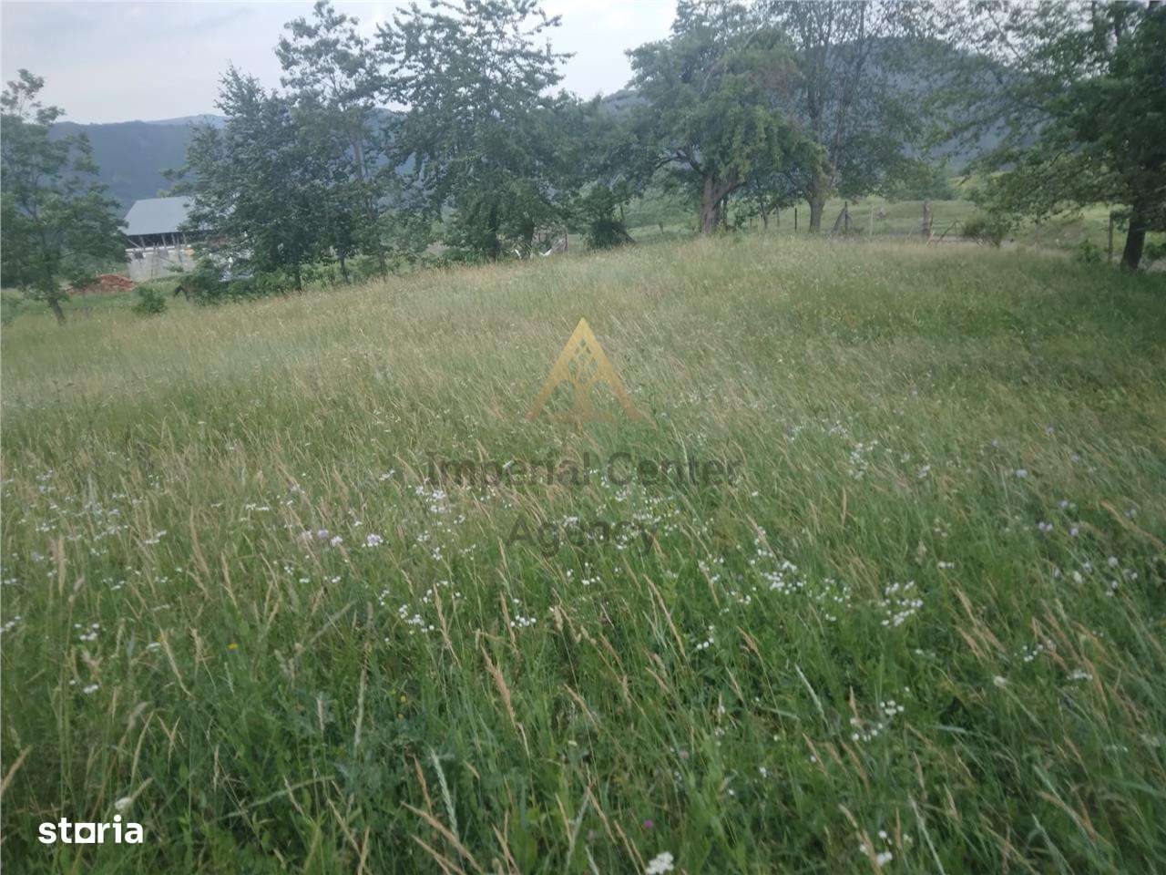 TEREN 2695 MP de vanzare in Statiunea TG OCNA - Imagine principală: 3/4