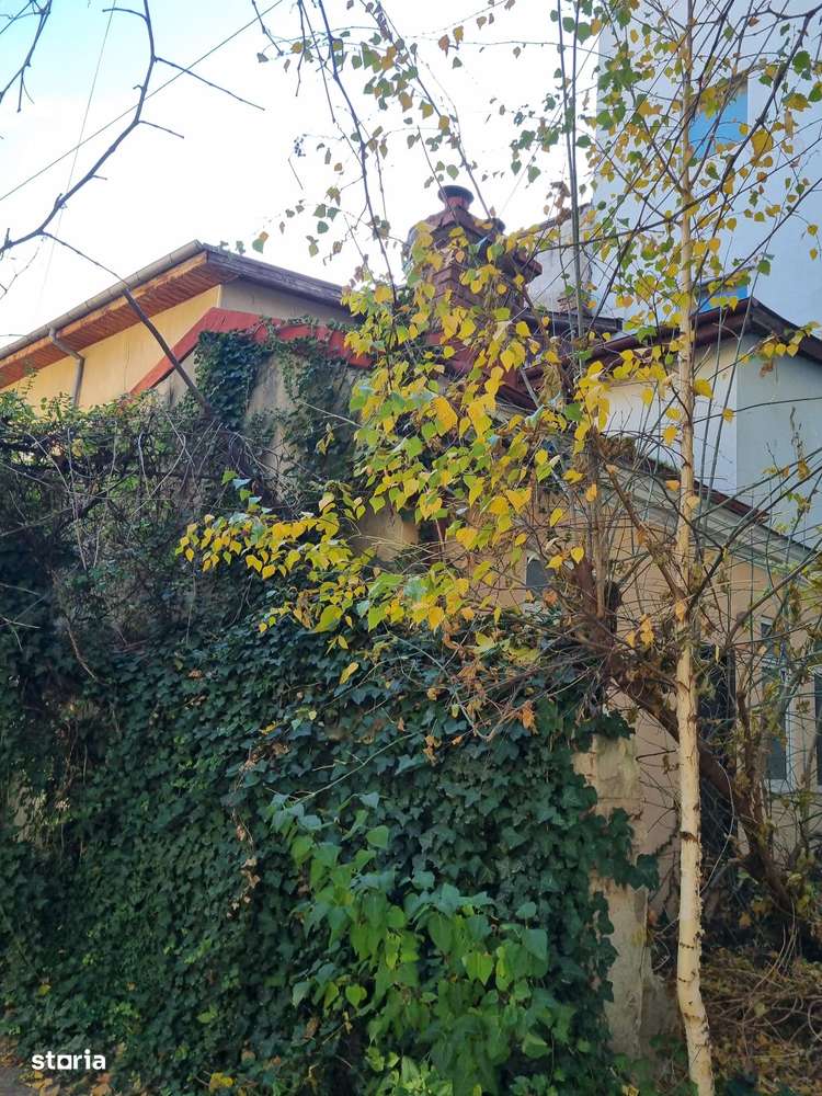 Casă pe parter, poziție premium – perfectă pentru investiție sau birou-3