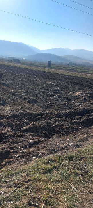 Teren cu suprafata de 1569mp, cu deschidere la drumul national in Gura - Imagine principală: 4/5