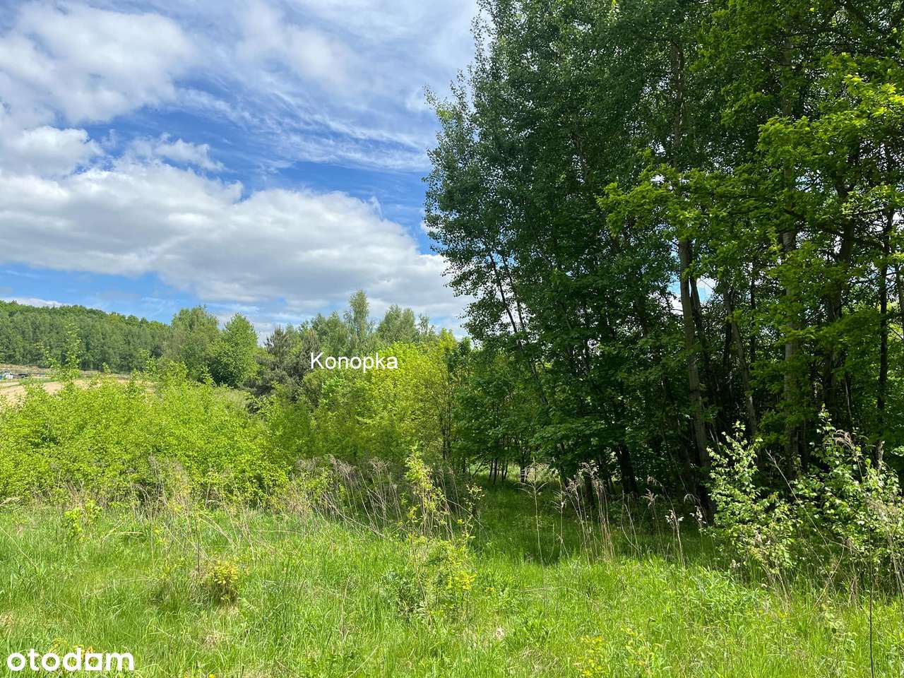 Przestrzeń dla Twoich marzeń  w Dolinie Mnikowskiej-5