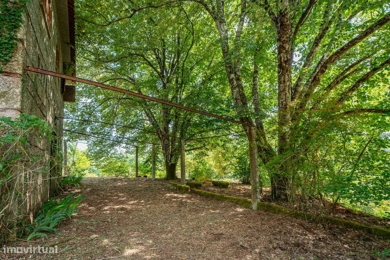 Quinta com 5,5 ha e Projecto Aprovado p/Hotel Rural 4 Estrelas - Viseu - Grande imagem: 4/21
