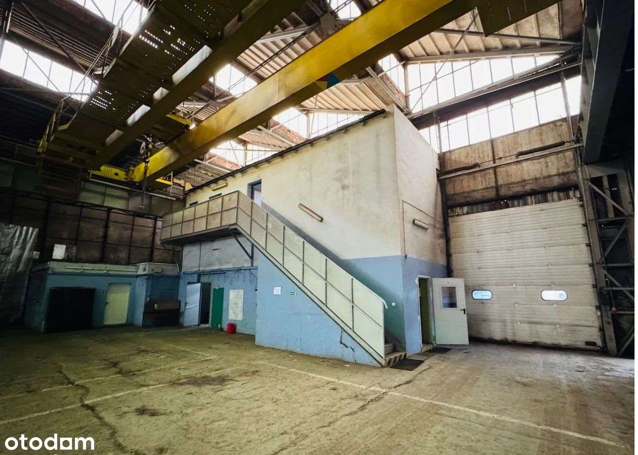 Hala produkcyjno/magazynowa z suwnicą - Pełny obrazek: 4/9