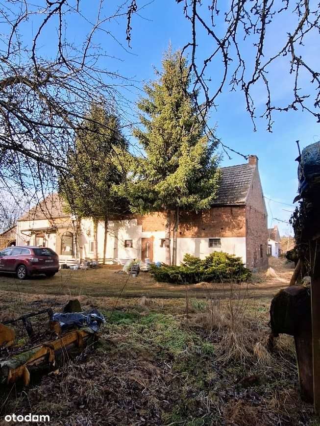 Siedlisko Z Duszą | 5 000 m² Działki |