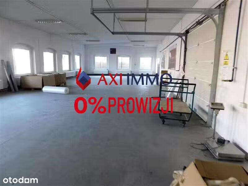 Hala magazynowo-produkcyjna z biurem na sprzedaż przy DK22 - Pełny obrazek: 4/11