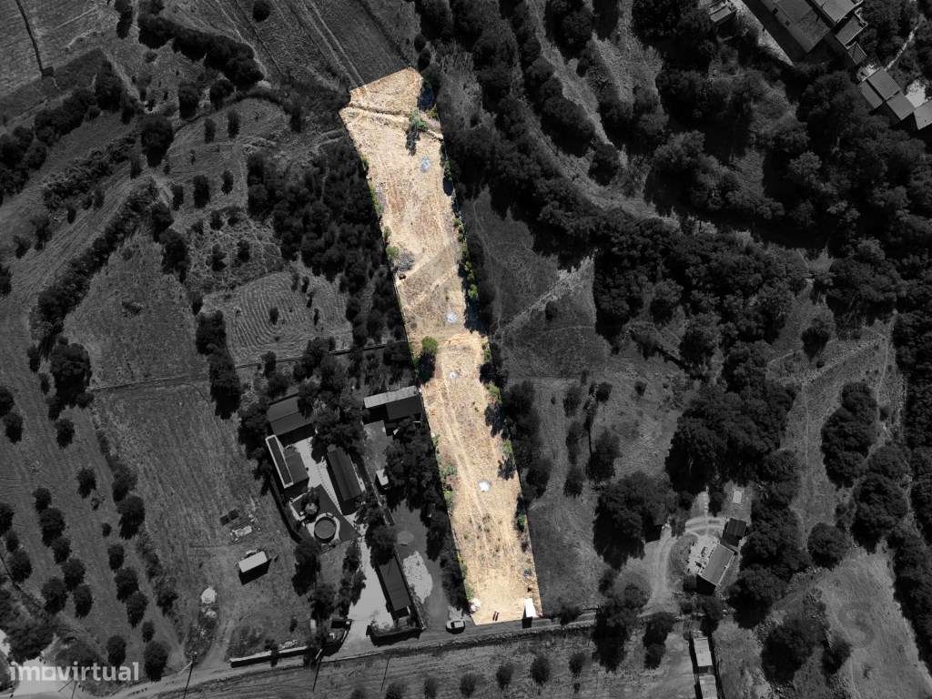 Terreno Rústico para venda em SIlves - Fontes da Matosa - Algarve - Grande imagem: 2/21