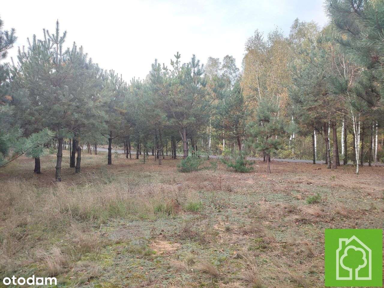 Działka, 1 008 m², Skudzawy-16