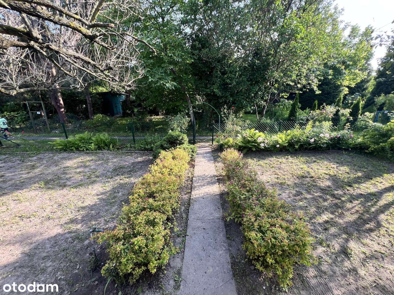 Zielona| Cicha| Ustawna | Działka ROD 220 m2 | Domek 30m2| Włochy-19