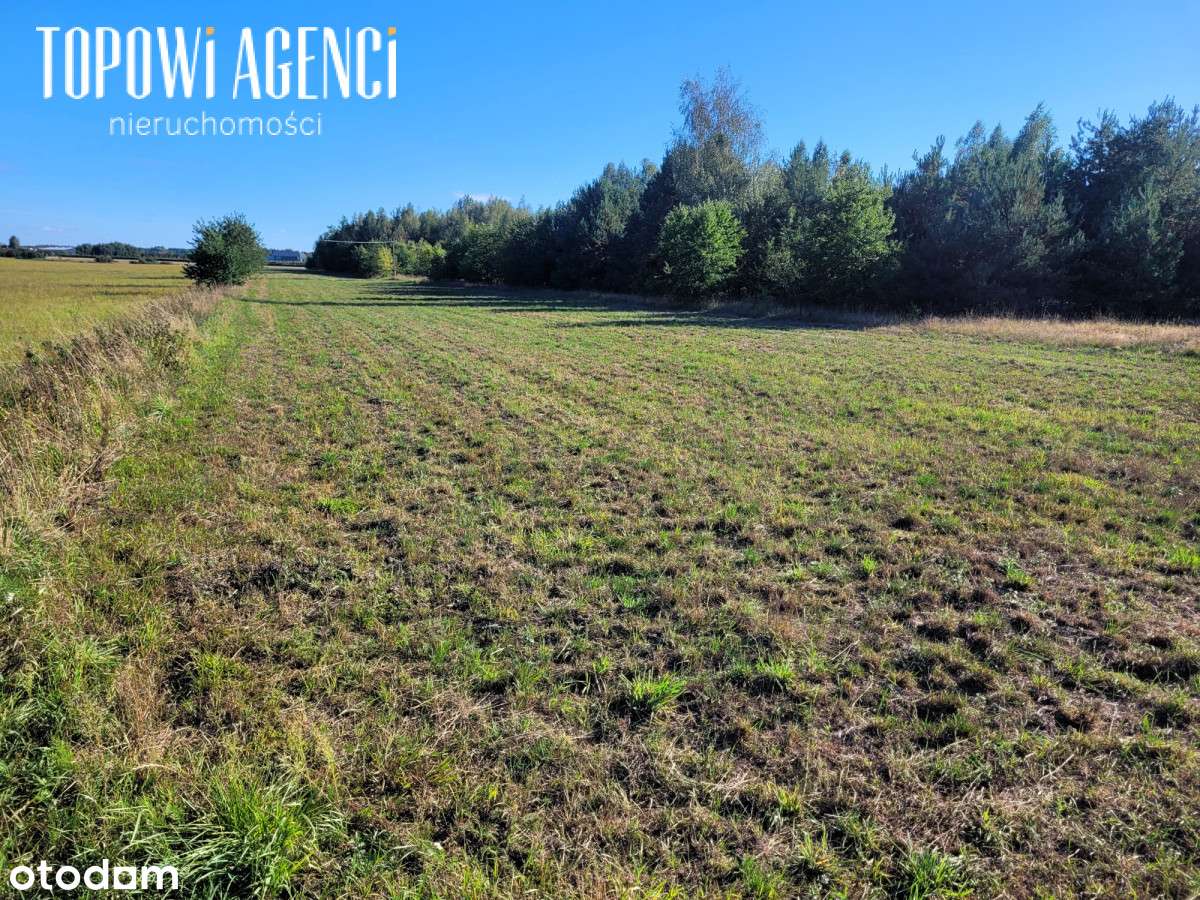 Działki budowlane pod zabudowę szeregową 22 000 m2 - Pełny obrazek: 4/8