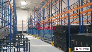 Magazyn pod produkcję 10.000 m2 Łódź Górna - Pełny obrazek: 3/6