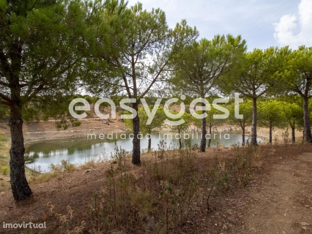 Terreno Agrícola com 6.9 hectares em Atalaias, Azinhal, C...