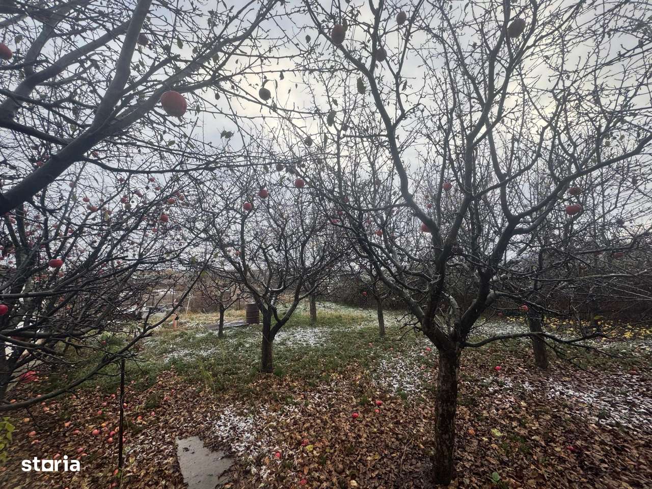 Tomesti - Osoi, vila , spatiu la parter , 2400mp teren, iaz , credit-7