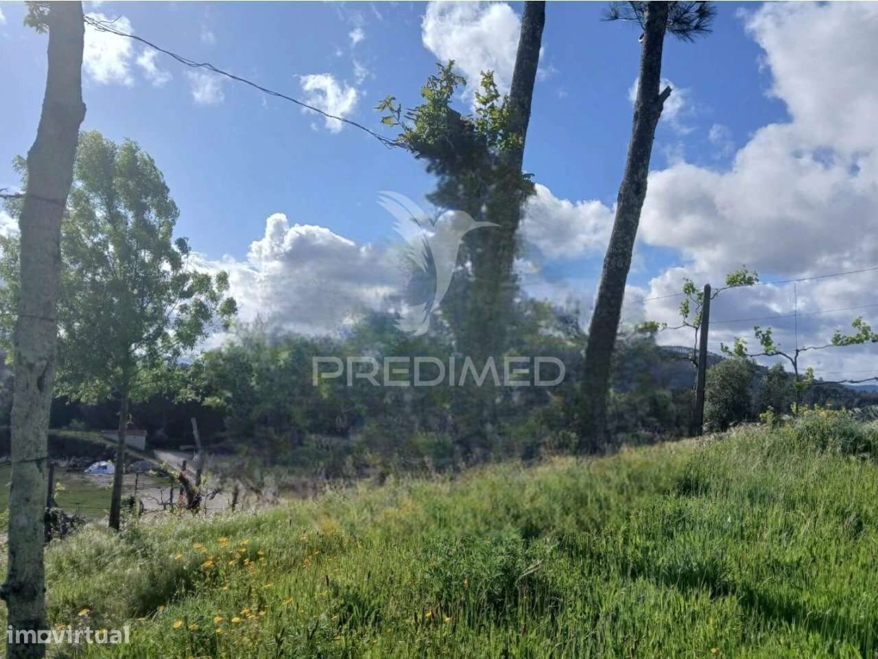 Terreno Rústico em Calvos e Frades – Póvoa de Lanhoso - Grande imagem: 4/4